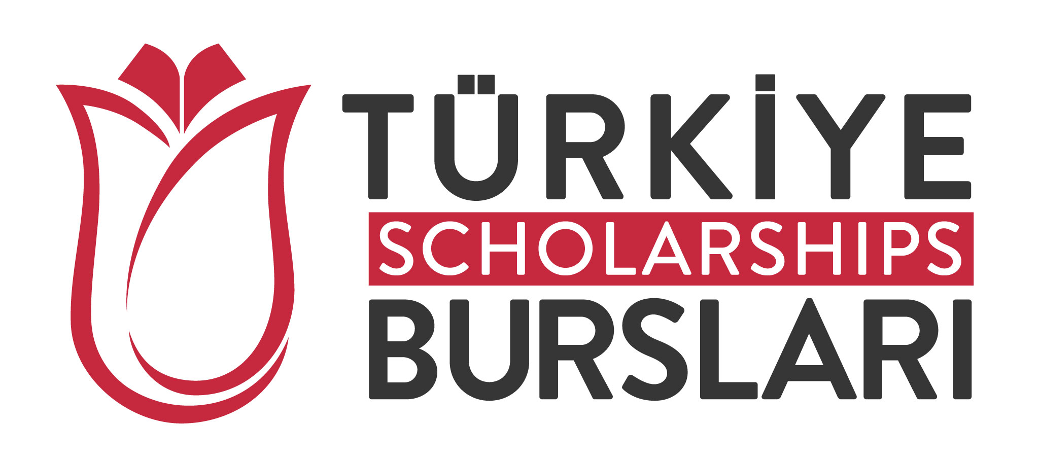 Türkiye Scholarships