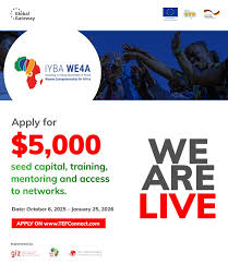 Women Entrepreneurship For Africa (IYBA-WE4A)