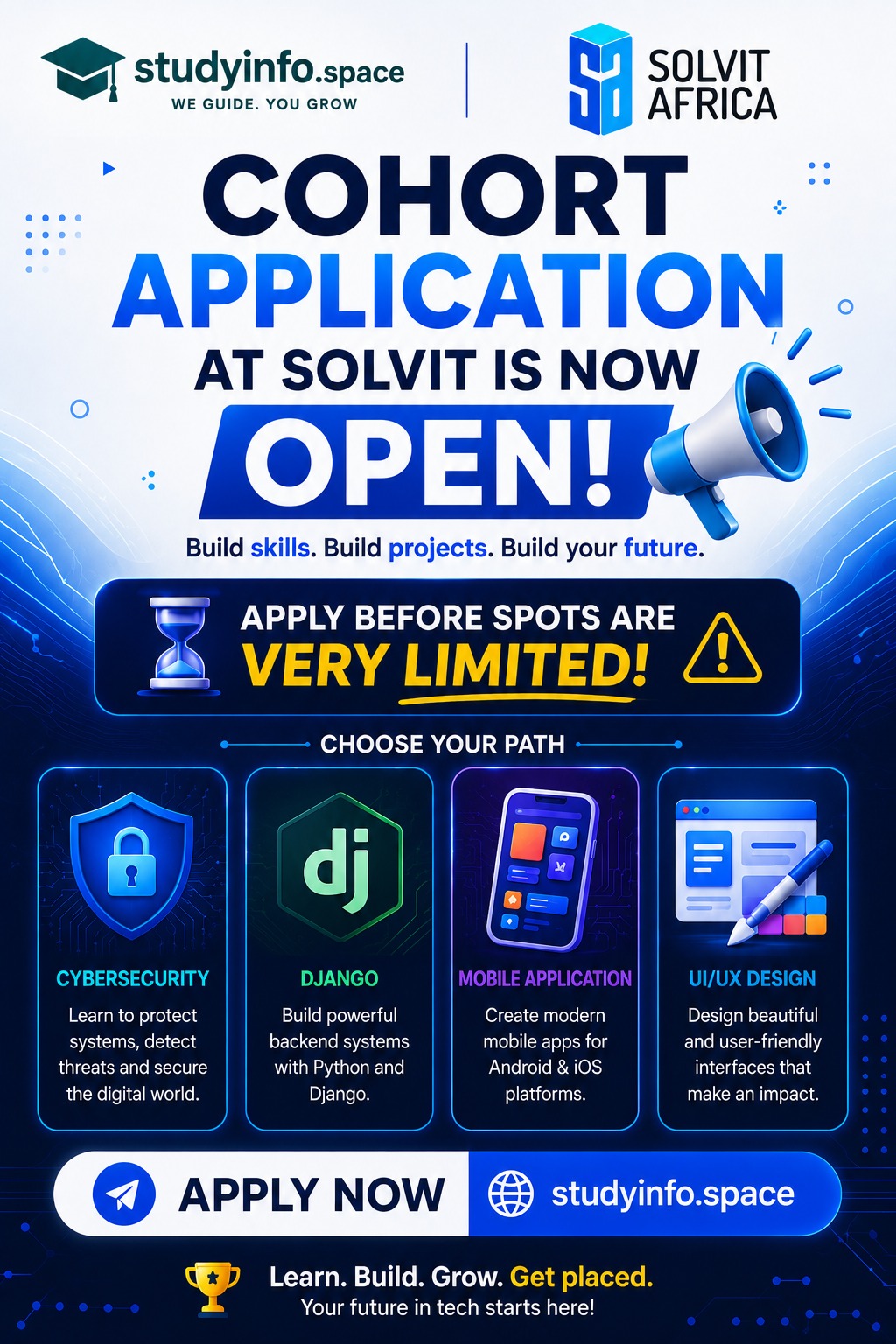 SOLVIT AFRICA COHORT APPLICATIONS ARE NOW OPEN!